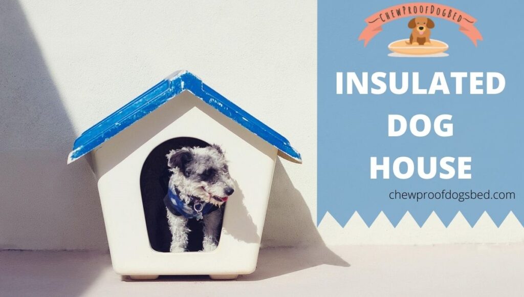 insulated dog house for cold weather