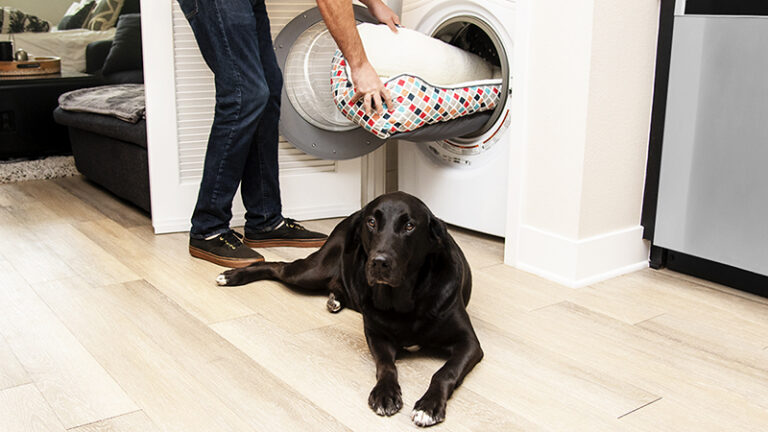 wash dog bed with stuffing