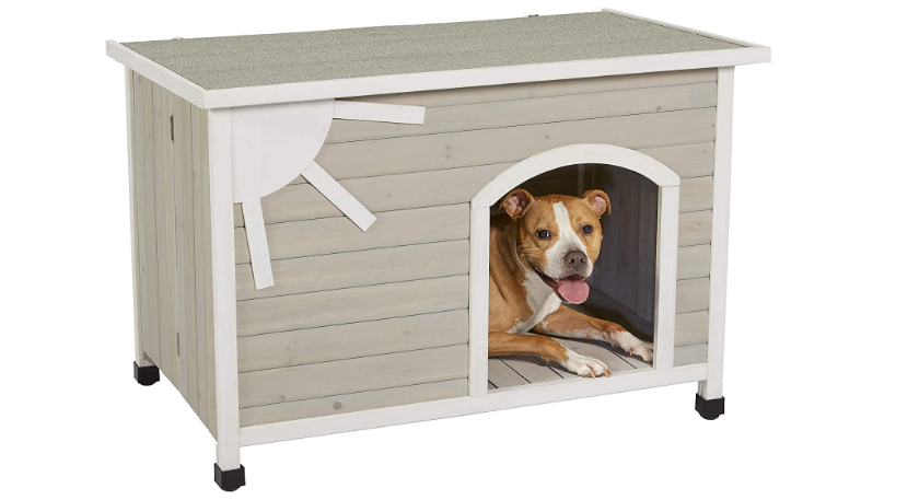  Best Outdoor Dog House