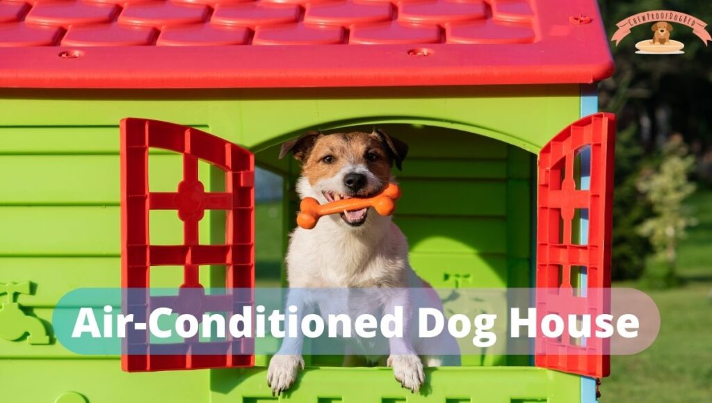 Air Conditioned Dog House