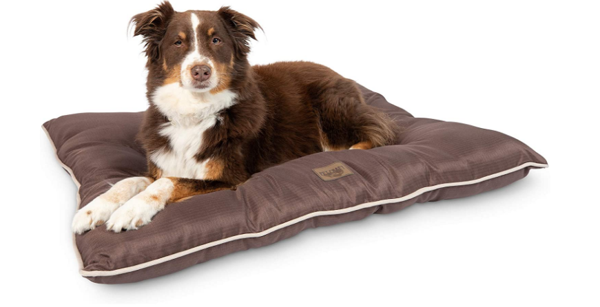 Snoozer Calming Dog Bed