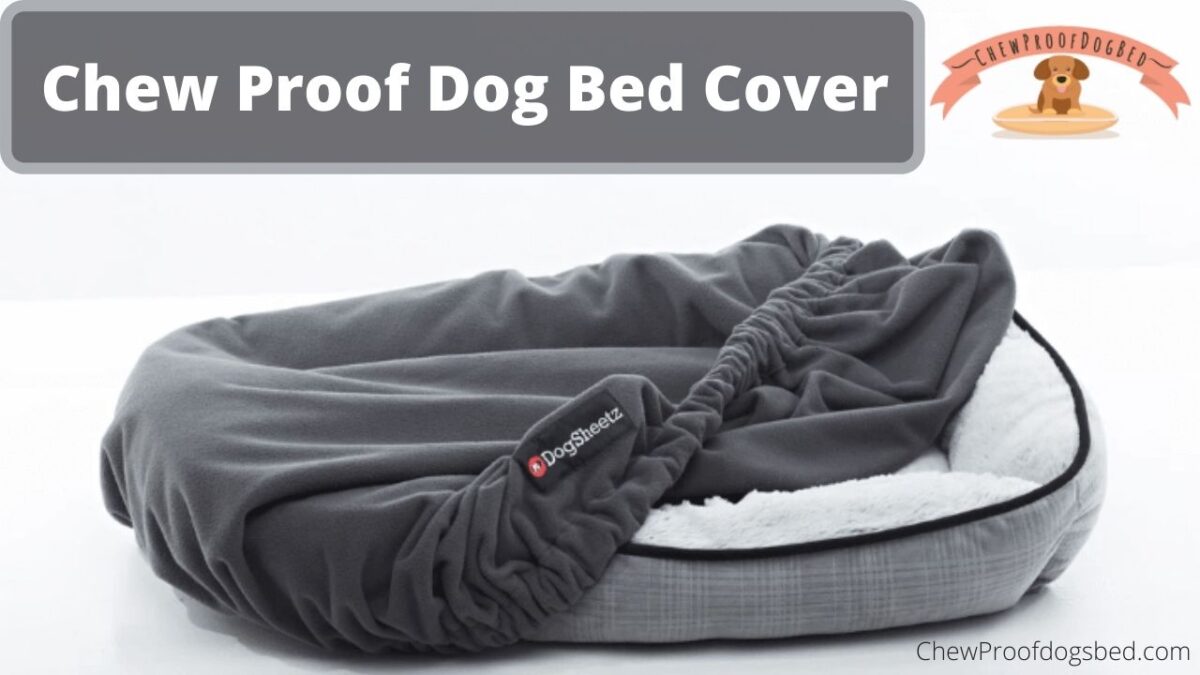 Chew Proof Dog Bed Cover 9 Best Replacement Dog Bed Cover in 2023