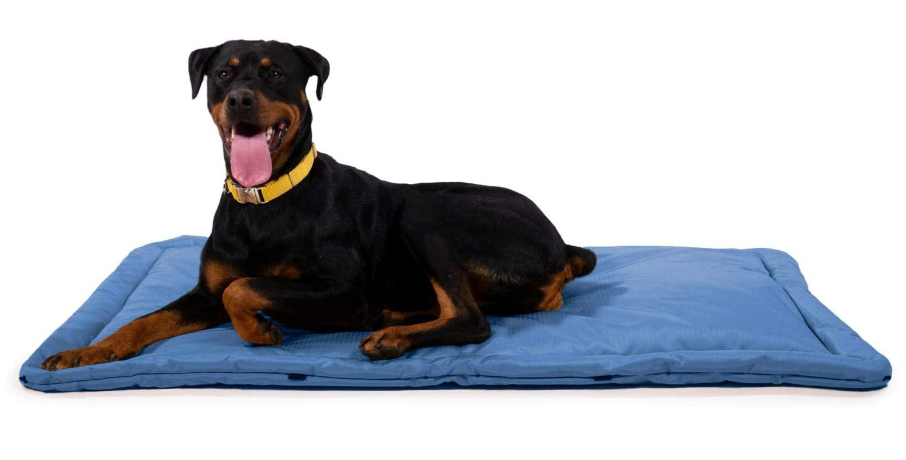 indestructible dog bed