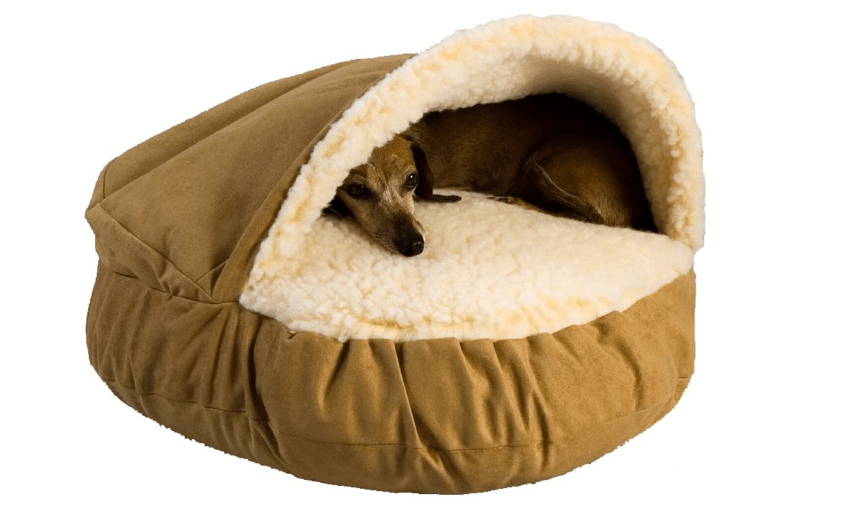 great dane dog beds