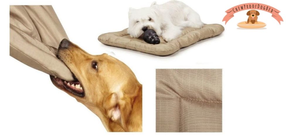 Dog Bed That is Chew Proof
