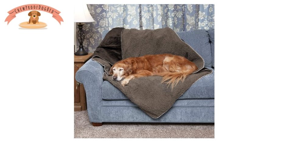 Chew Proof Dog Blanket