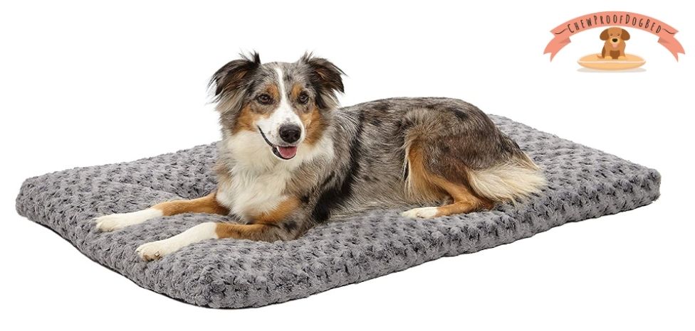 MidWest Dog Beds