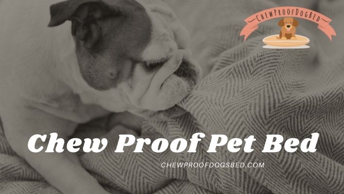Chew Proof Pet Bed