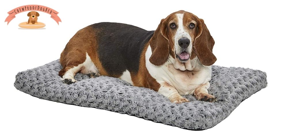 Chew Proof Dog Bed For Crate