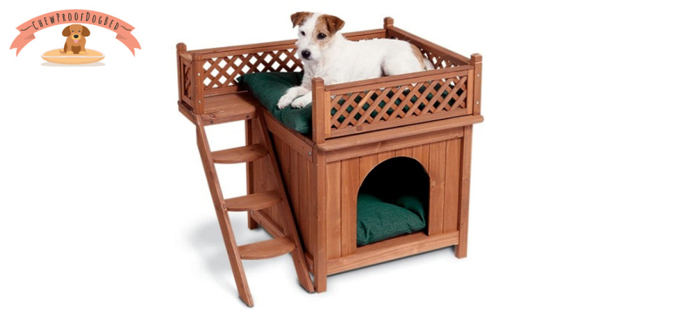 Luxury dog bunk beds