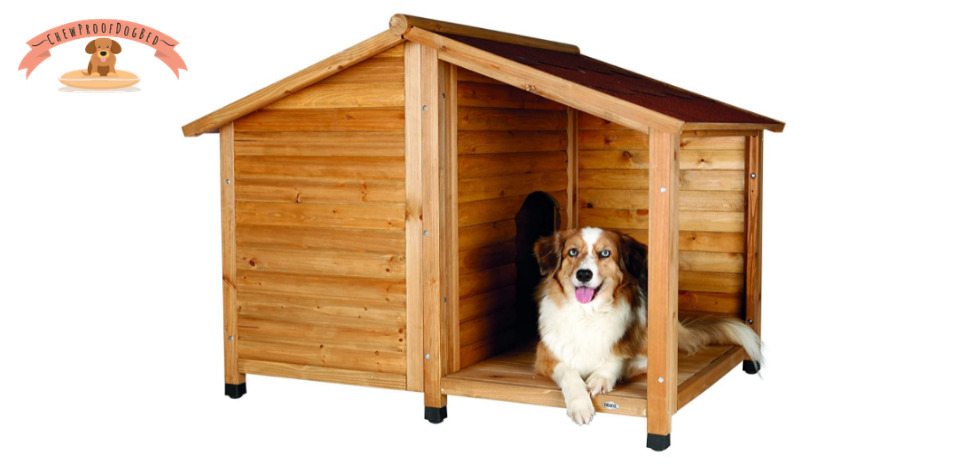 Air Conditioned Dog house