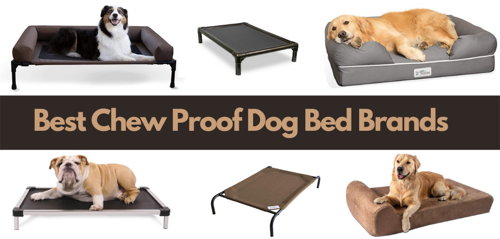 Best Chew Proof Dog Bed Brands