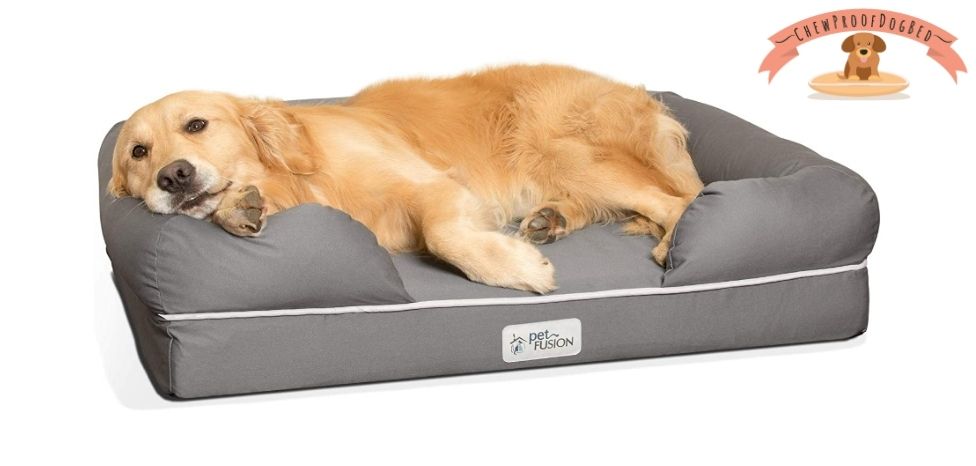 Waterproof Chew Proof Dog Bed