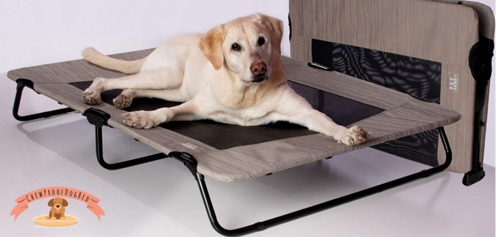 Best Chew Proof Dog Bed