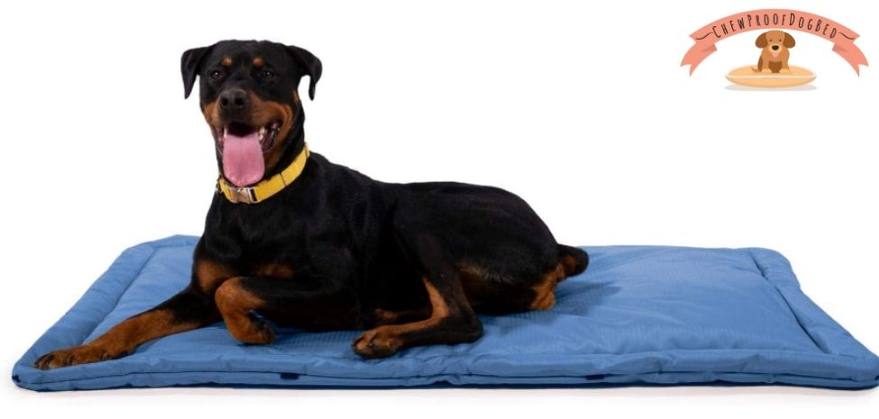 Waterproof Chew Proof Dog Bed