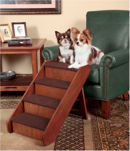 Dog Steps for small dogs